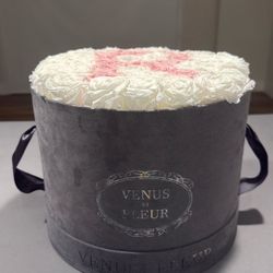 Venus Et Fleur Forever Roses Velvet Box