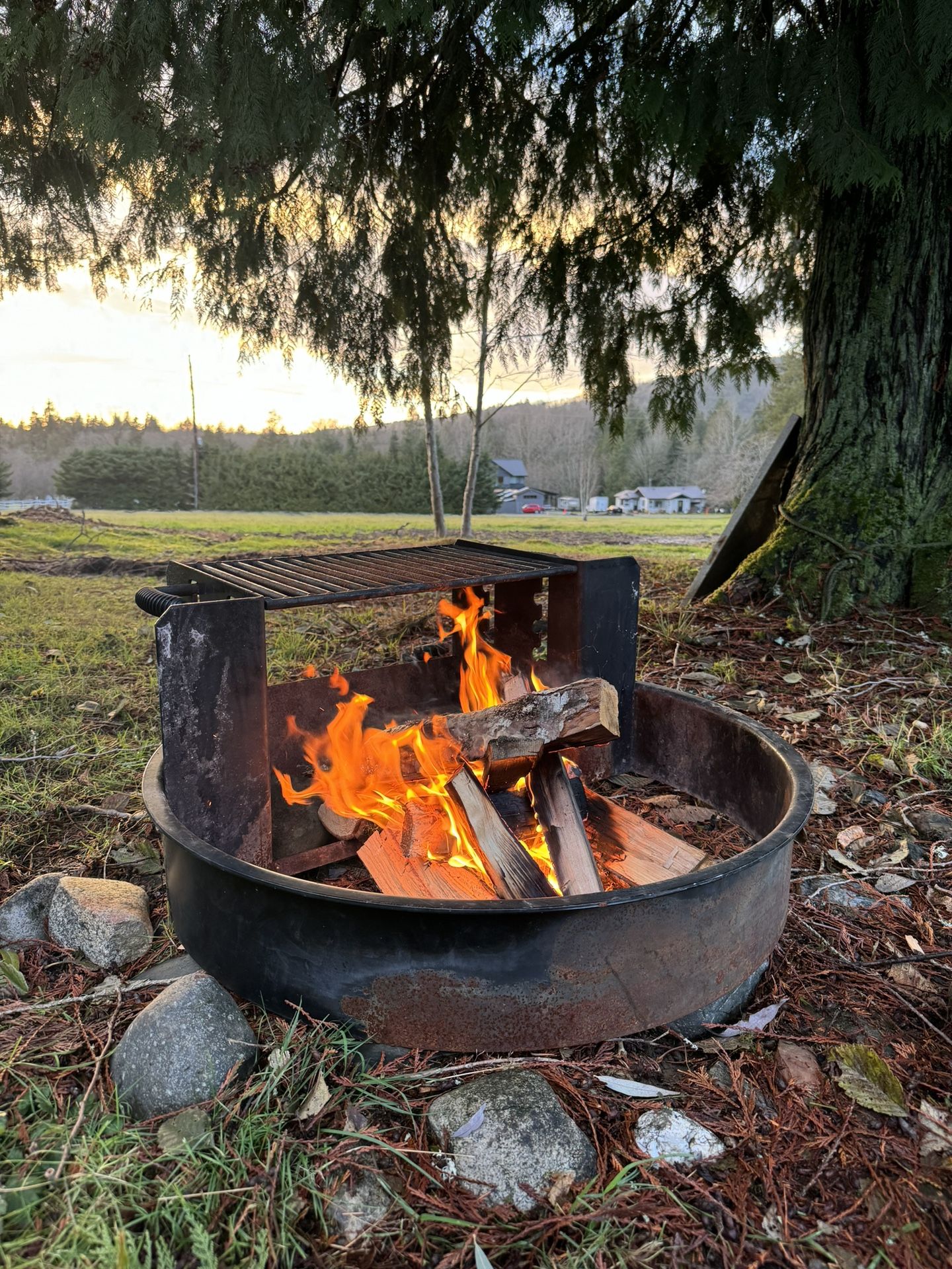Commercial Fire Pit/Grill