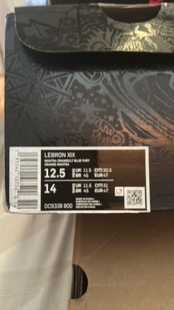 Nike LeBron