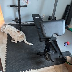 JX Fitness Weight Bench With Olympic Bars and Weights For Sale