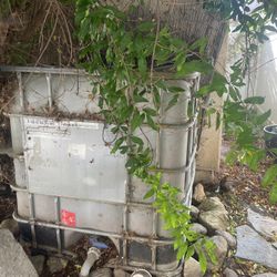 1,050 Liters IBC Water Storage Container