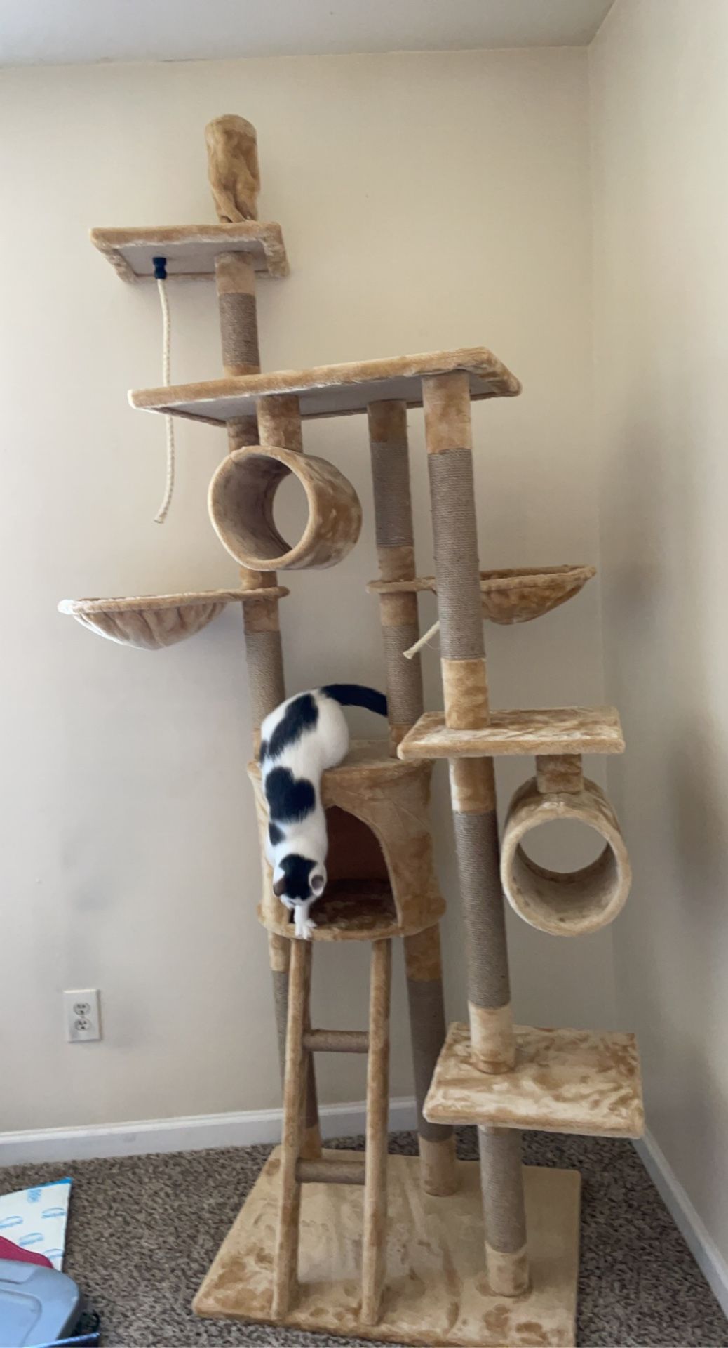 Cat Tree
