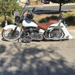 Two Softtail Harley Davidson Vicla Style Evo Engine 