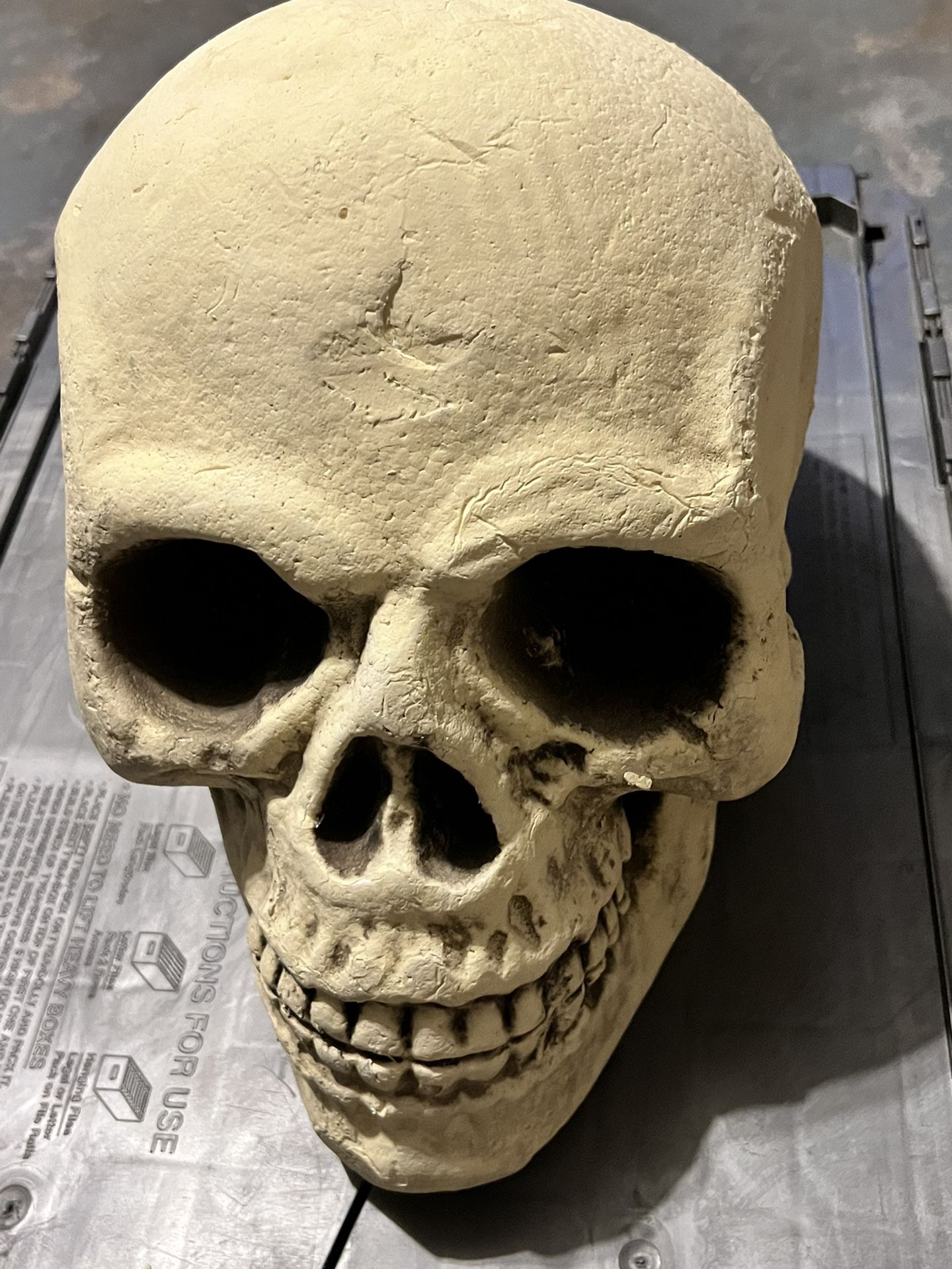 Shindigz Foam Skull Halloween Decoration- Head