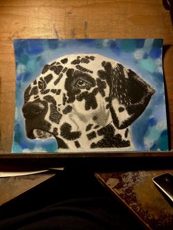 Dalmatian Dog Draw With Pastels 12hx16w. Selling For $50