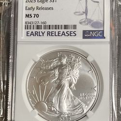 NGC 1oz .999 American Silver Eagle ( ASE ) MS70 PERFECT GRADE 