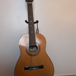 Acoustic Guitar 