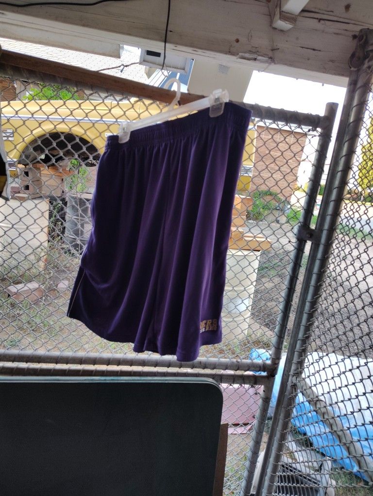 New Purple Adult XL Shorts MAKE AN OFFER 