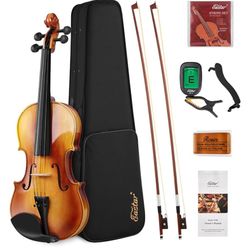 Violín