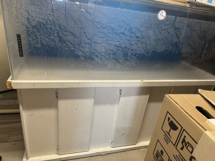 Fish Tank & Cabinet