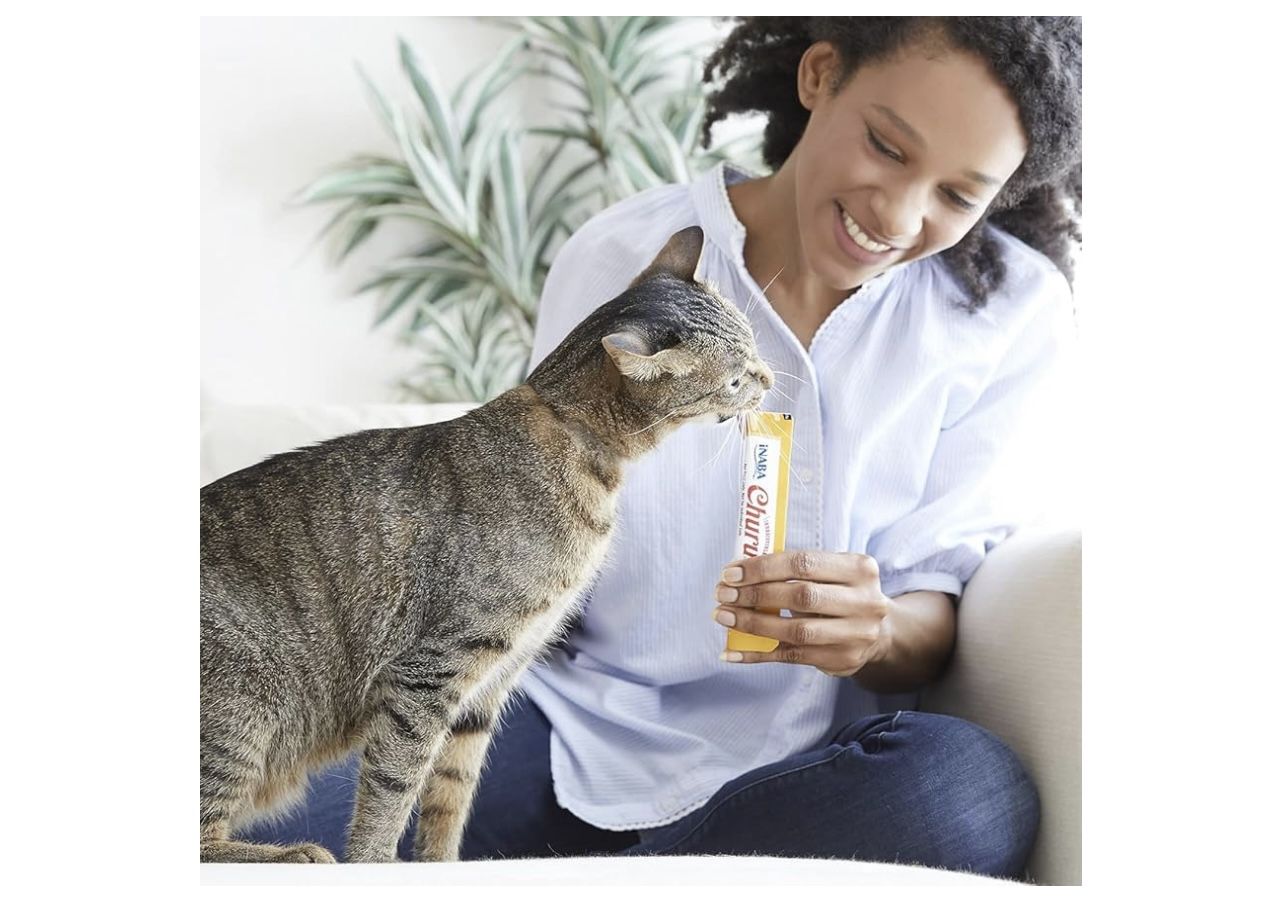 INABA Churu Cat Treats