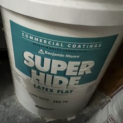 Benjamin Moore Super Hide Latex Flat Paint