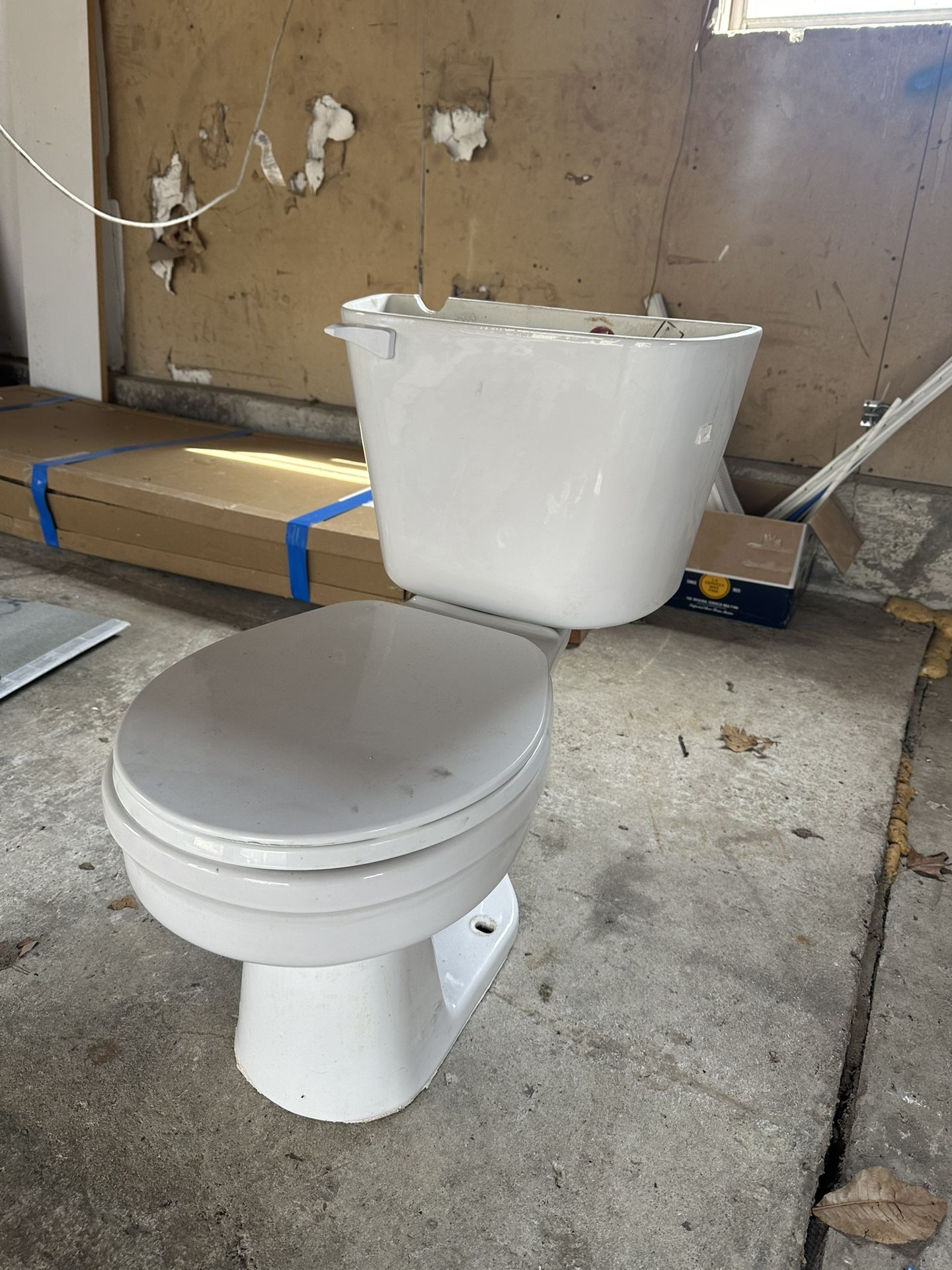 Toilet Bowl