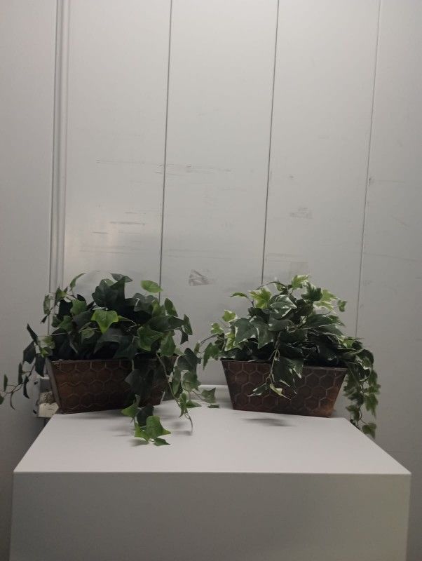 Fake Plant In Good Conditions