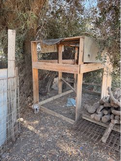 Chicken cage