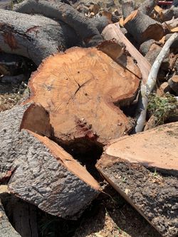 Red Oak & Eucalyptus Fire Wood