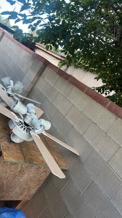 fan