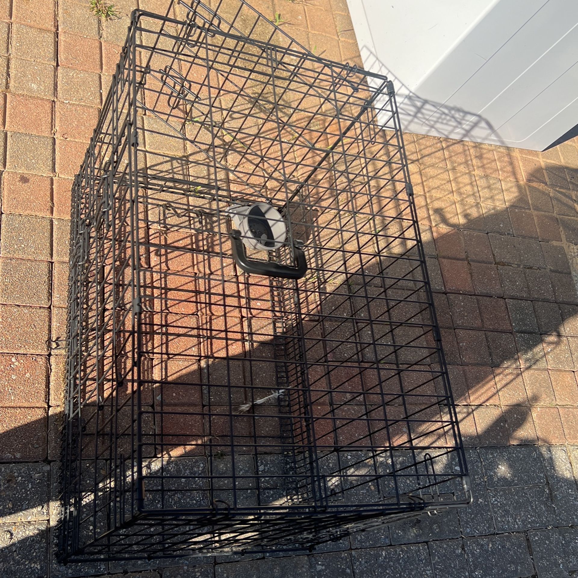 Case For Dog