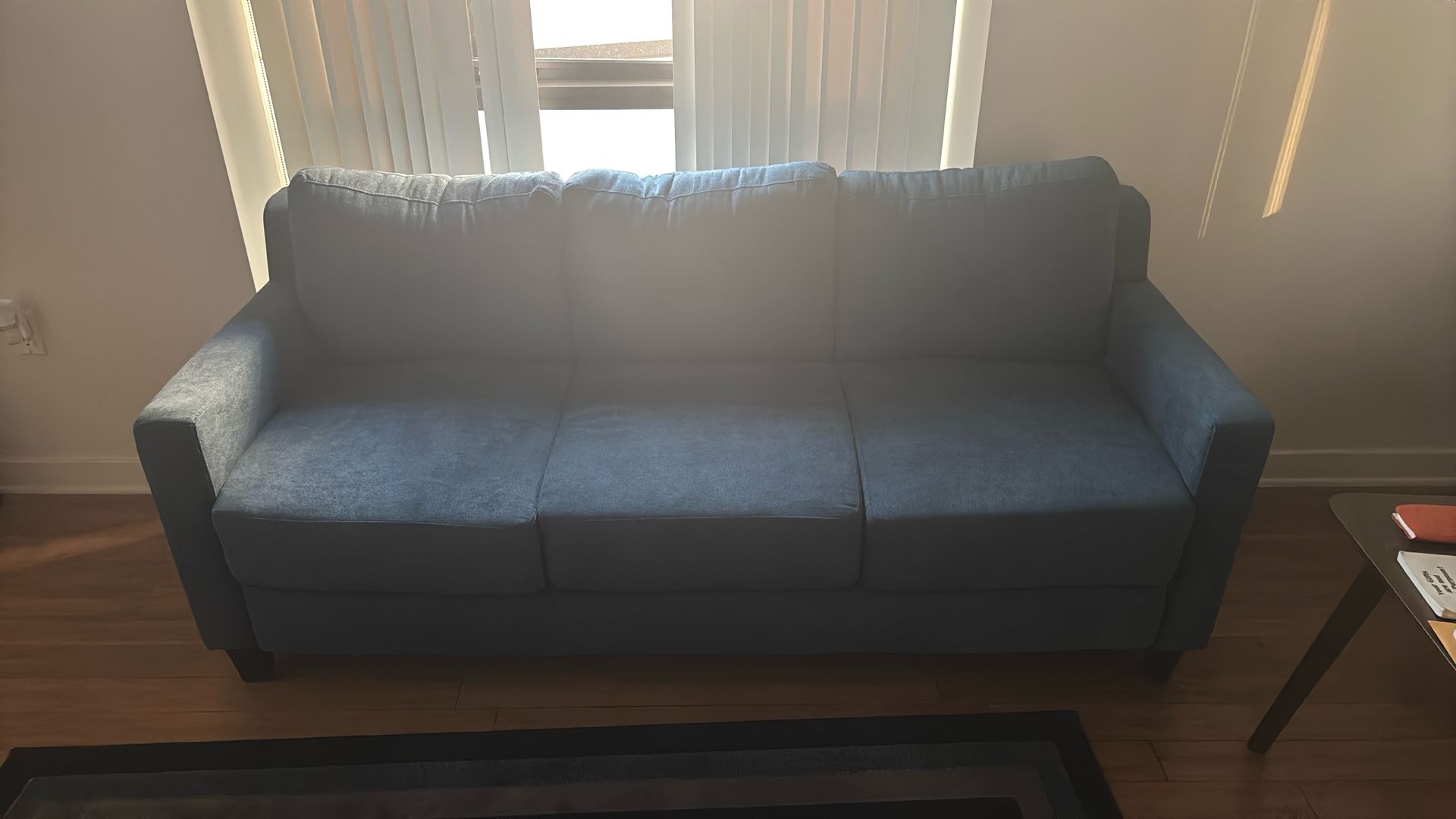 Navy Blue Couch
