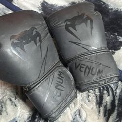 Venom Boxing Gloves 