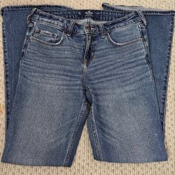 Hollister Bootcut Jeans