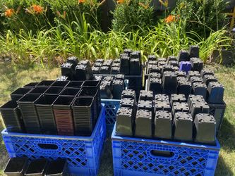 Plastic Planters - 3.5x3.5 (by McConkey)