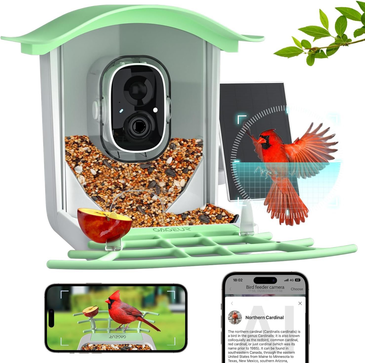 NEW Bird Feeder with Camera & Solar Panel