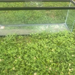 50 Gallon Aquarium New 