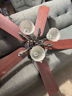 Pretty fans. $50 both
