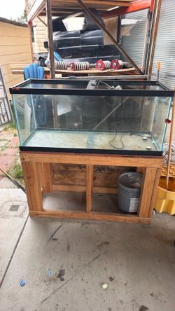 Fish tank/reptile tank