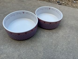 Pet Bowls