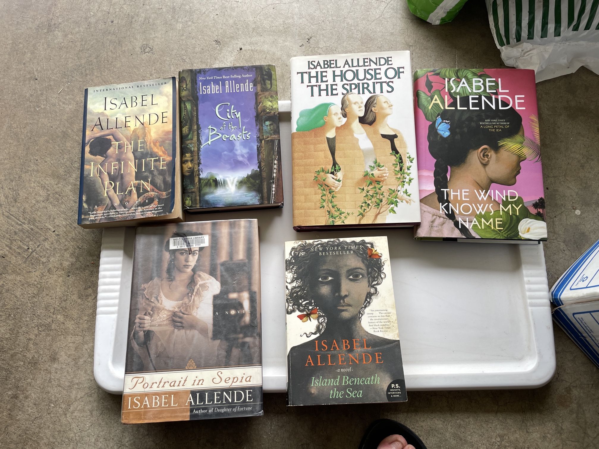 Isabel Allende, Book Collection