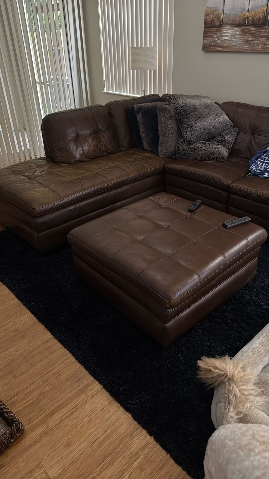 Leather Sectional Couch And Ottoman