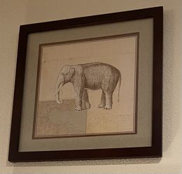 Leopard And Elephant Print 