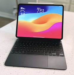 iPad Pro 11" M4 (2024) 256GB Wi-Fi + Cellular + Magic Keyboard - Like New