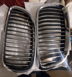 Bmw Grilles