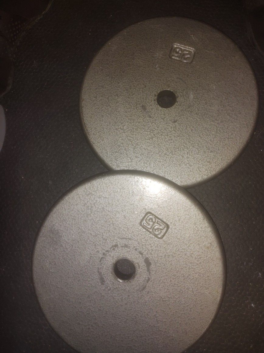 Two 25 Lb Weight Plates