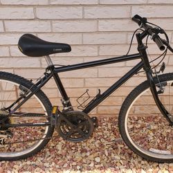 Vintage DIAMOND BACK bike