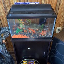 Fish Tank And Stand 