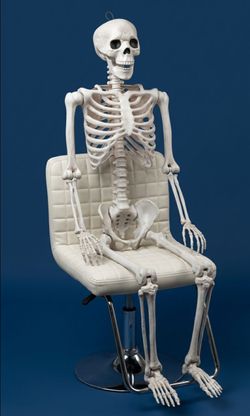 Skeleton 5f
