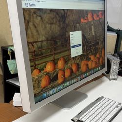 Apple 30inch Cinema Display 