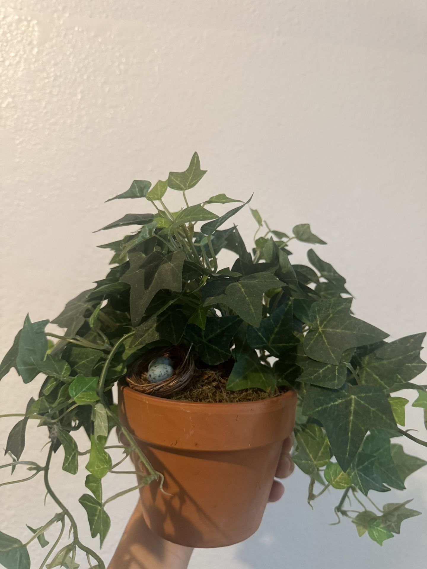 Fake Plant