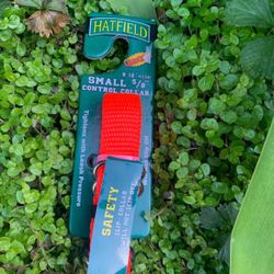 Hatfield Small Dog Collar 5/8” Slip-Collar Yellow Green Orange Safety Collar 8-12” Neck NEW