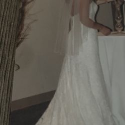 Wedding Gown