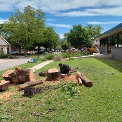 Trabajo De Árboles Good Price 