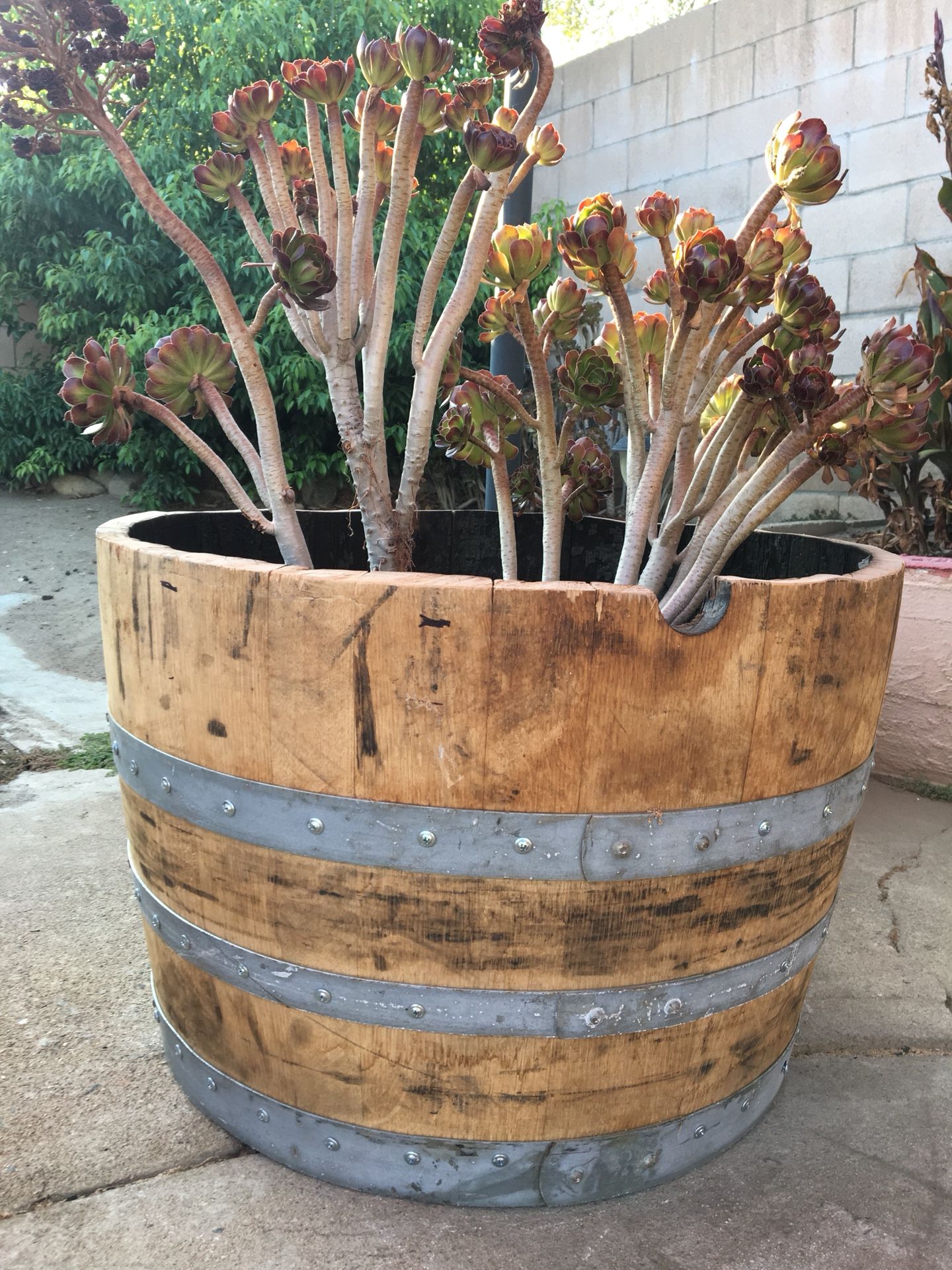 Wine barrel Planters for Sale in Victorville, CA OfferUp