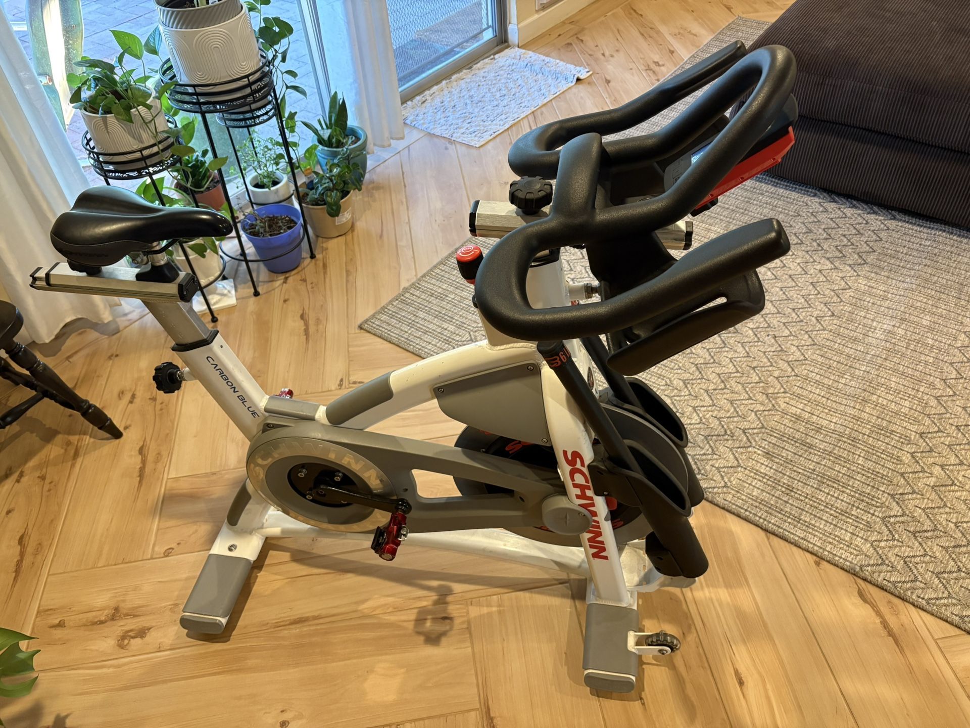Schwinn Carbon Blue Spin Bike