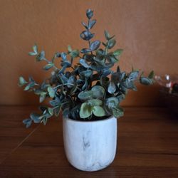 Plastic Plant Decor