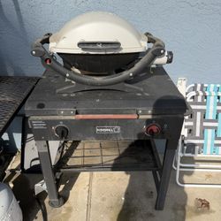 Bbq Griddle And Grill 