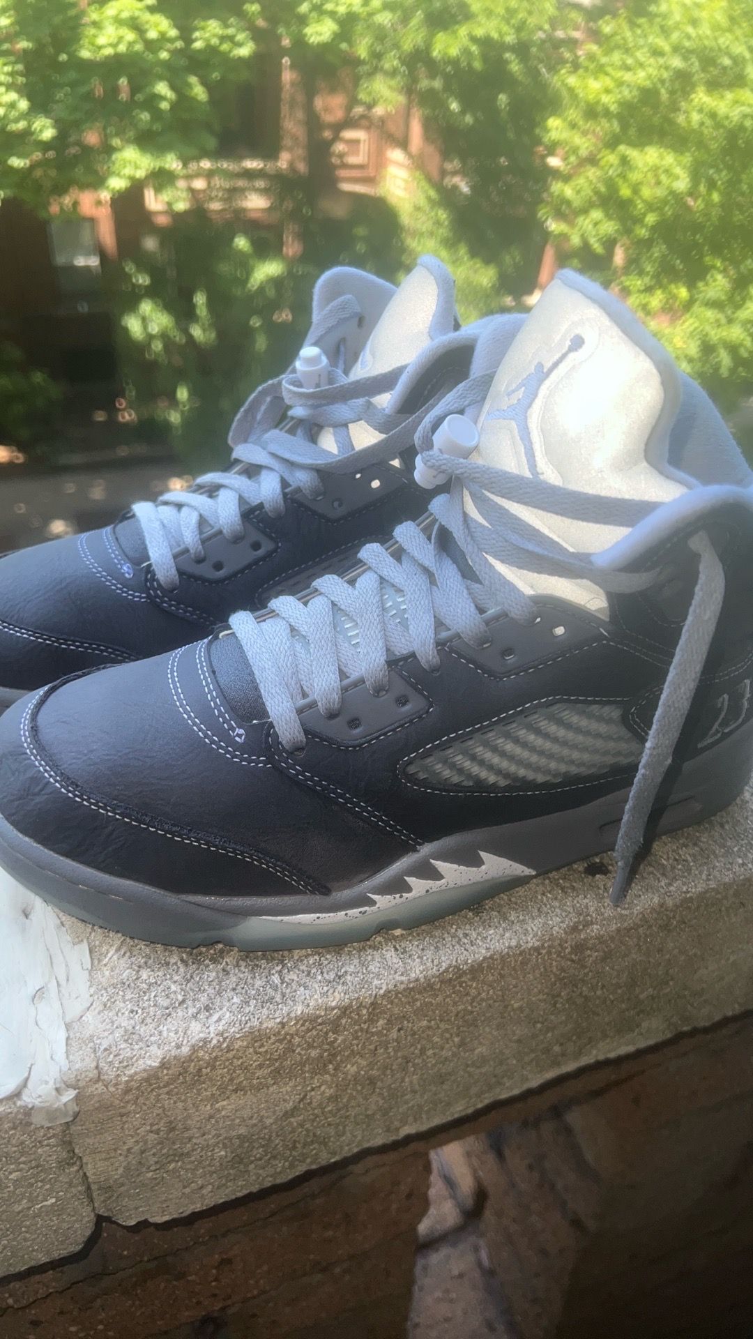Jordan wolf grey 5s ,size 9.5